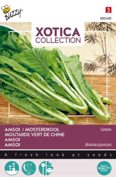 Amsoi groen (Brassica) 1750 zaden
